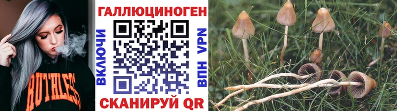 Галлюциногенные грибы ЛСД  закладки  Шахты 