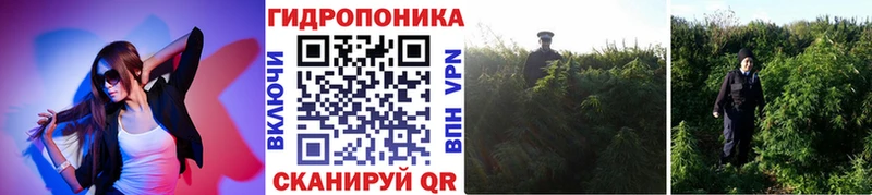 shop наркотические препараты  сколько стоит  Шахты  Конопля ГИДРОПОН 